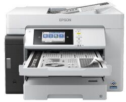 Epson M15180 Epson M15180